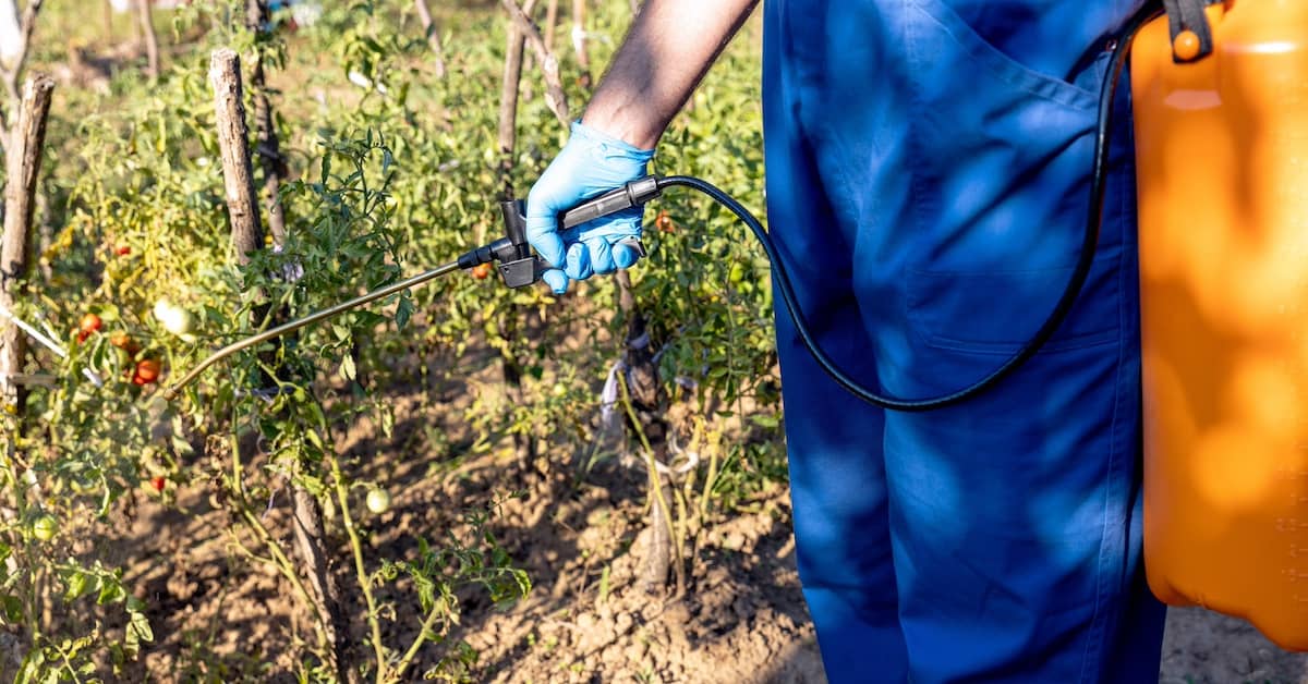 Worker spraying Roundup weed killer | Burg Simpson