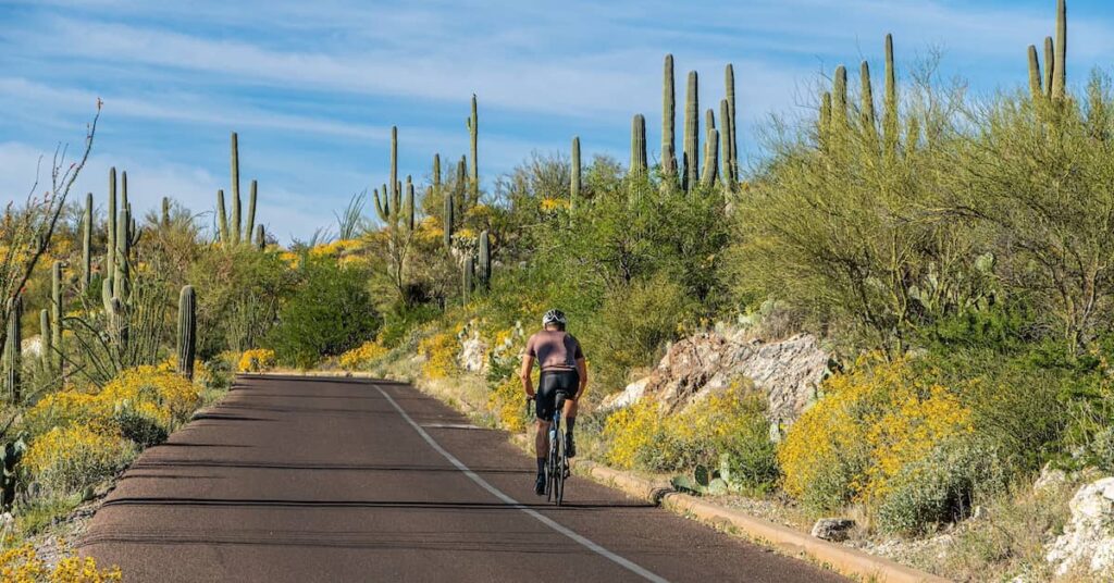 Cyclist on the shoulder of a road in Arizona | Burg Simpson